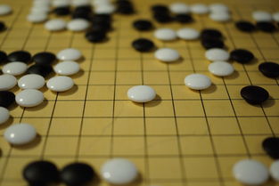 乐鱼体育app官网-中国篮球教练员战术执行力培养及技能提升方法，篮球教练战术安排