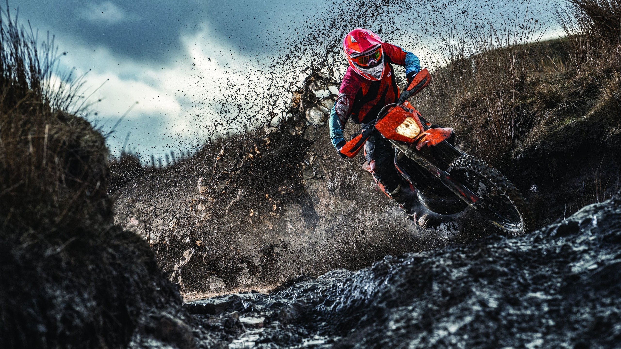 鹈鹕训练营模拟关键球决策提高心理素质，鹈鹕 教练